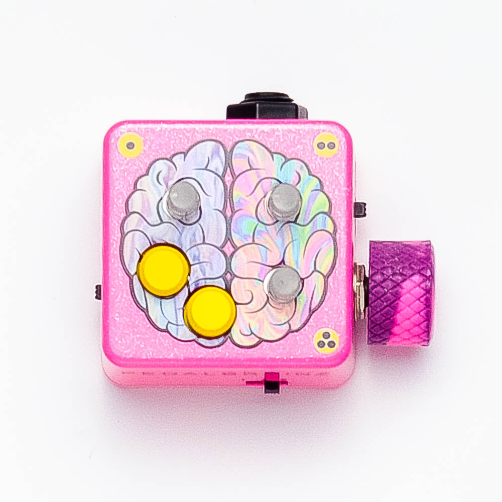 pedal brainz Pedal Brainz – Left Brain v2, Expression Controller – Pedal Markt
