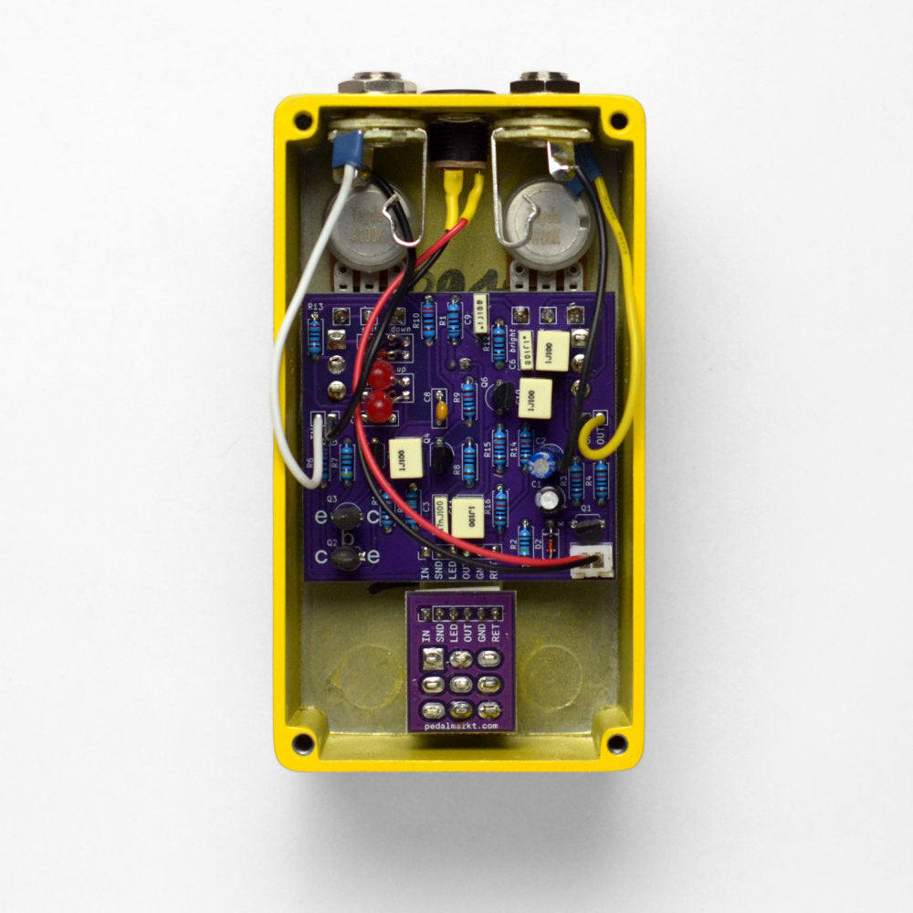 lizard-kisses-inside-